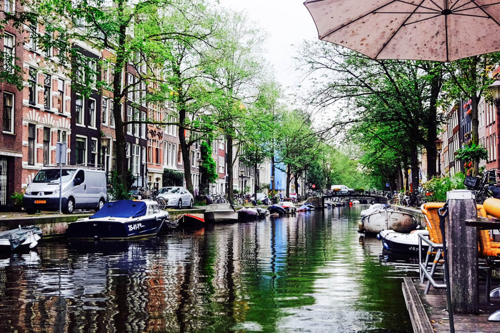 Amsterdam canals with trees, bicycles, and canal houses
